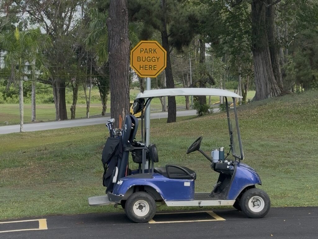 Buggy parked on a buggy stop zone Buggy parked on a buggy stop zone