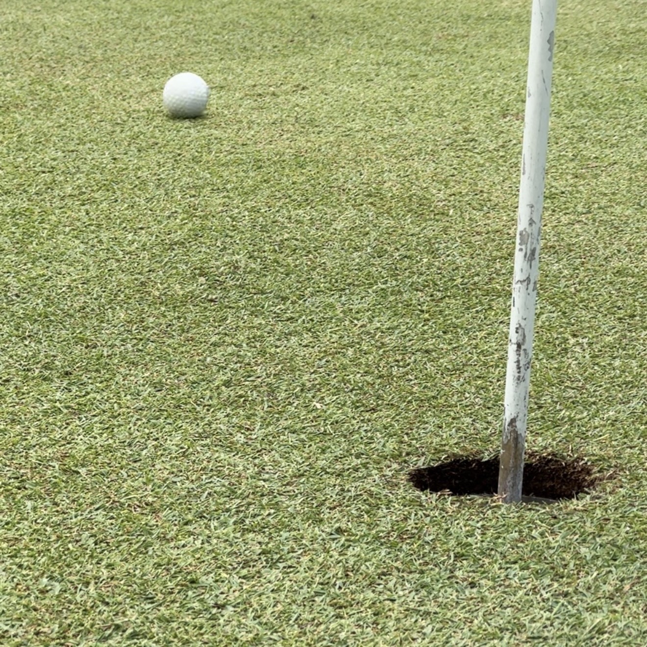 Smooth greens with a golf ball 